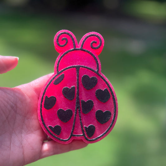 Lady Bug (Custom Order Here)