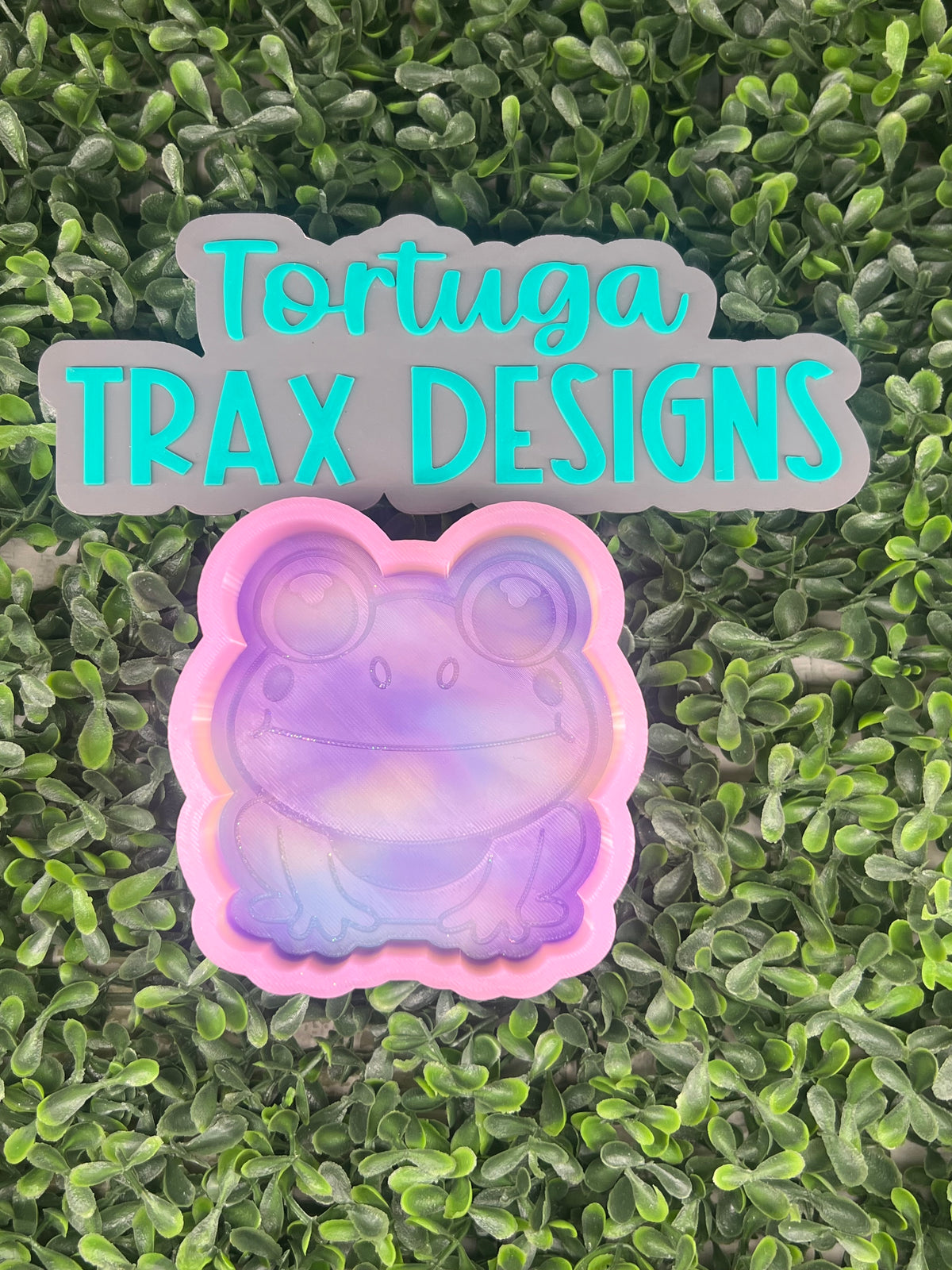 Pineapple Coconut - Frog (Custom Option Available)